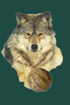 Fairwolf's Avatar